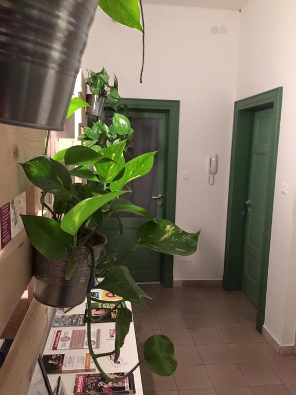 Low Cost Ferrara Exteriör bild